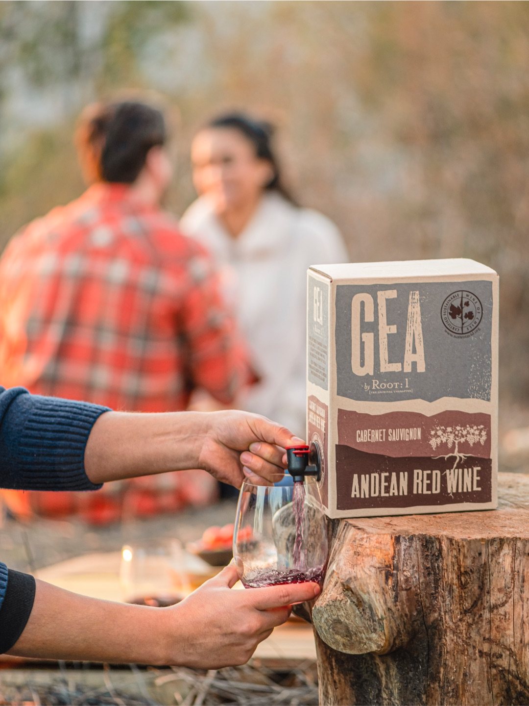 GEA lifestyle - Hands pouring wine into a glass